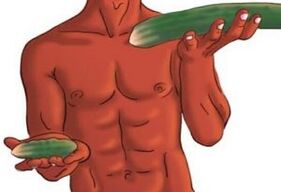 Exercises to increase a member