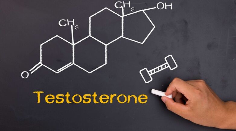 Testosterone levels affect a man's penis size